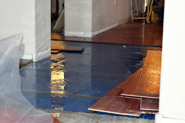 Professional Sewage Cleanup technician working in New Deal, TX